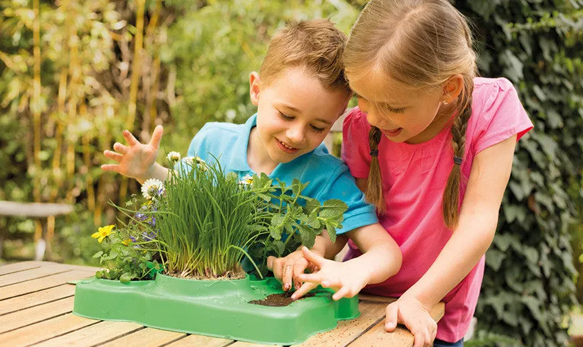 "Botany: Experimental Greenhouse" - Science Kit